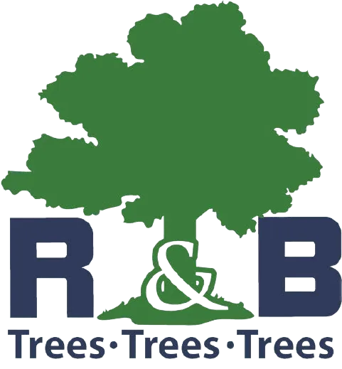 R&B logo.